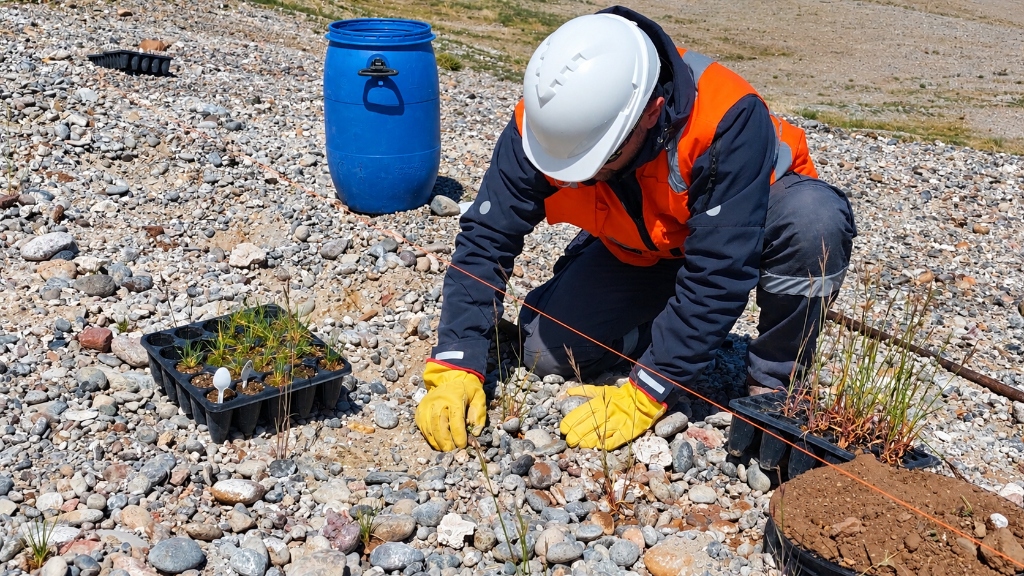 Equipo de campo realizando plantación en terreno